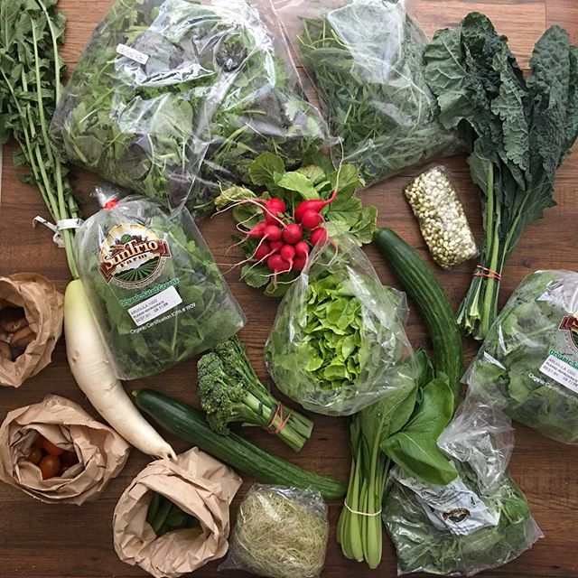 Hallelujah!
All the veggies 🙌🏻 #shiitake #cherrytomatoes #sugarsnappeas #daikon #mixedgreens #radish #lettuce #cucumber #kale #komatsuna #brocoli #arugula #sprouts.
All #organic #local #prana filled goodness. So grateful for my market! #macrobiotic #vegan #wholefood #healing #eatrealfood.
